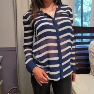 Aritzia Sunday Best Sheer Blouse